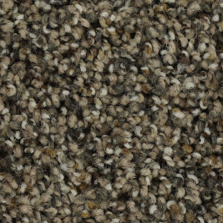 Horizon Carpet Captivating Outlook Raleigh Mohawk
