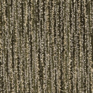 Masland Carpets Vivacity Zest Masland