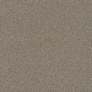 Dreamweaver Carpet No Limits II Ambiance DREAMWEAVER