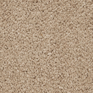 Horizon Carpet Gentle Approach Belvedere Mohawk