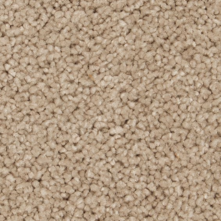Horizon Carpet Pleasant Touch Belvedere Mohawk