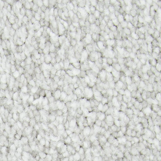 Mohawk Carpet Noteworthy Selection Platinum Mohawk