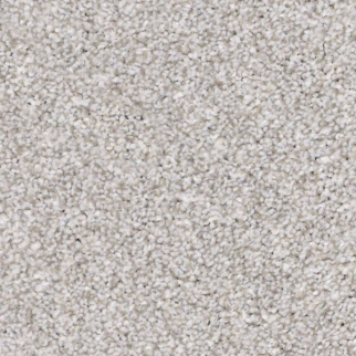 Shaw Floors Make It Mine II Sterling SHAW
