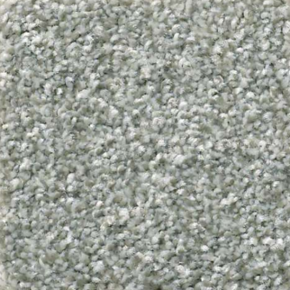 Shaw Floors Attainable Sterling SHAW