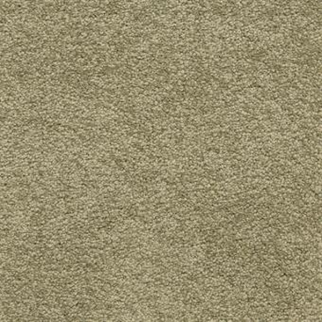 Masland Carpets Knockout Fern Masland