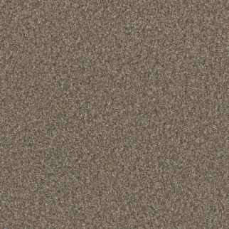 Dreamweaver Carpet Timberline III Lakehouse DREAMWEAVER