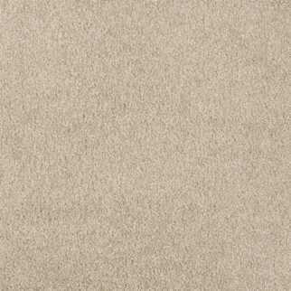 Masland Carpets Miami Alphano Masland