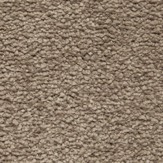 Horizon Carpet Gentle Approach Gondola Mohawk