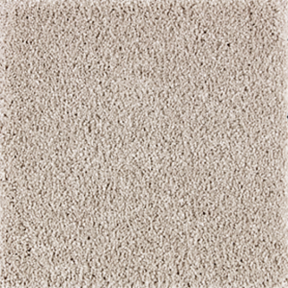 Horizon Carpet Exquisite Attraction Tradition Mohawk