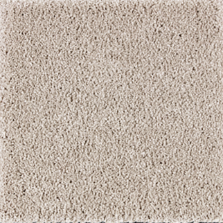 Horizon Carpet Exquisite Beauty Tradition Mohawk