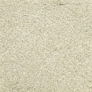 Masland Carpets Delray Seagull Masland