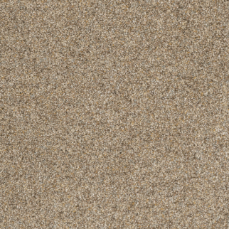 Dreamweaver Carpet Astounding I Amberwood DREAMWEAVER