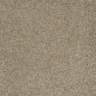 Dreamweaver Carpet Astounding III Amberwood DREAMWEAVER