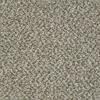 Shaw Floors Break Away (B) Clam Shell SHAW