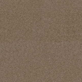 Dreamweaver Carpet Exceptional II Doeskin DREAMWEAVER
