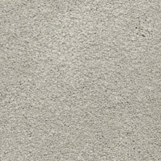 Masland Carpets Ravishing Clever Masland