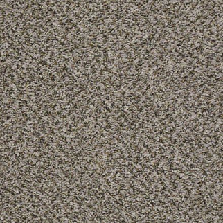 Shaw Floors Break Away (B) Sweet Taupe SHAW