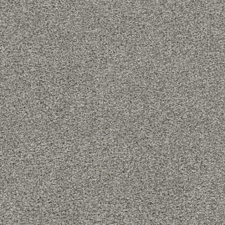 Dreamweaver Carpet Lucky Penny I Ventura DREAMWEAVER