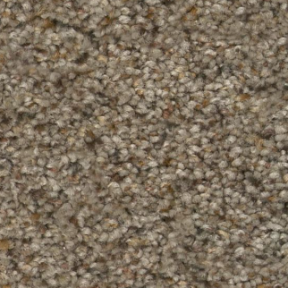 Tuftex Topanga Canyon Oxford SHAW