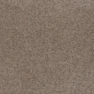 Dreamweaver Carpet Toast Of The Town Oyster Bay DREAMWEAVER