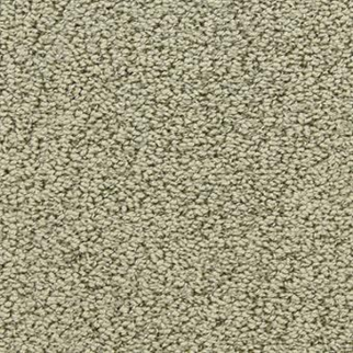 Masland Carpets Marina Del Mar Thicket Masland