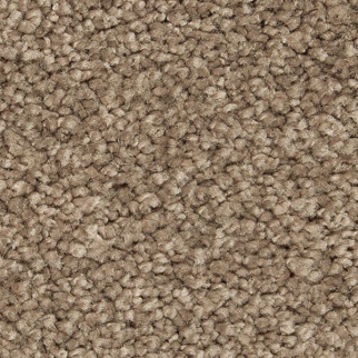 Horizon Carpet Pleasant Touch Woodland Mohawk