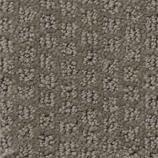 Shaw Floors Pacific Trails Charcoal SHAW