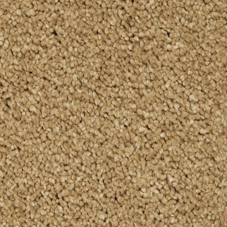 Horizon Carpet Gentle Approach Stonington Beige Mohawk