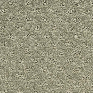 Dixie Home Dreamer BayLeaf