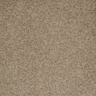 Dreamweaver Carpet Astounding I Fiery Clay DREAMWEAVER