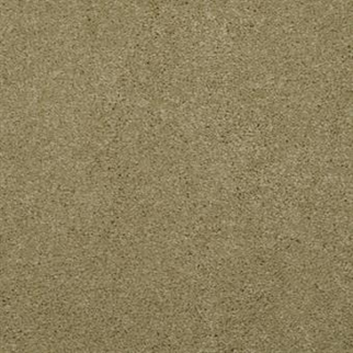 Masland Carpets Embrace Avocado Masland