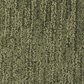 Masland Carpets Mesa Verde Peale Masland