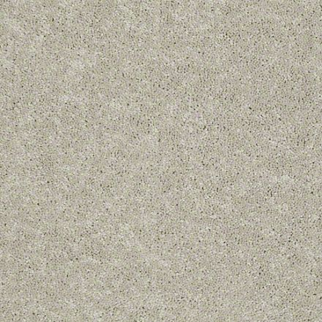 Shaw Floors Dyersburg Classic 15' Dove SHAW
