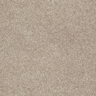Shaw Floors Newbern Classic 12 Plaster SHAW