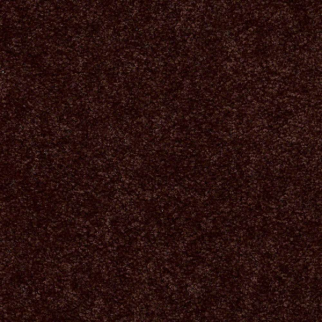 Shaw Floors Newbern Classic 12 Coffee SHAW