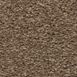 Mohawk Carpet Noteworthy Selection Timberlane Mohawk