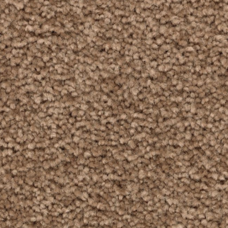 Mohawk Carpet Noteworthy Selection Nouveau Mohawk