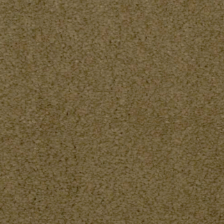 Dixie Home Touch of Velvet Orion
