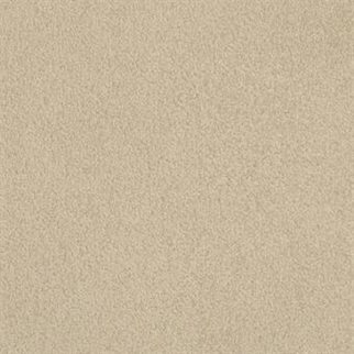 Masland Carpets Americana Mesa Masland