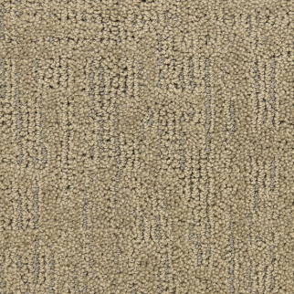 Masland Carpets Ursa Planet Masland