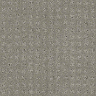 Shaw Floors Alluring Disposition Slate SHAW