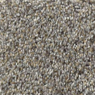 Shaw Floors Elemental Mix II Antique Pin SHAW