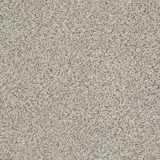 Shaw Floors Elemental Mix II Silver Lining SHAW