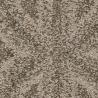 Tuftex Enlightened Toasty Gray SHAW