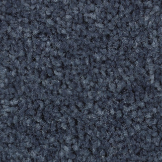 Mohawk Carpet Treasure Valley Endless Blue Mohawk