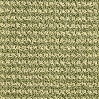 Masland Carpets Tango Aerial Masland