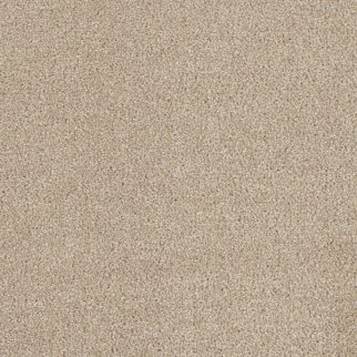Dreamweaver Carpet Hollywood Cashmere DREAMWEAVER