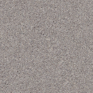 Shaw Floors Inlet Shore I 12 Brushed Nickel SHAW