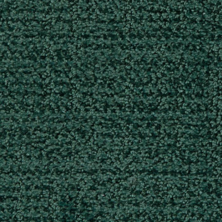 Masland Carpets Nueva Vista Bosque Masland