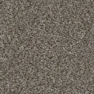 Shaw Floors Without Limits I Misty Mica SHAW